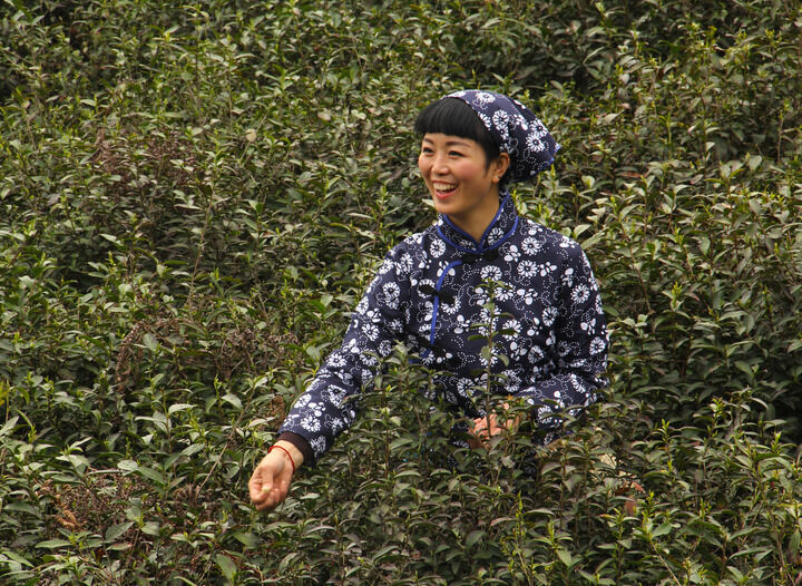 最新更新7